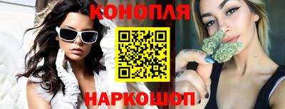 гашик Пыть-Ях
