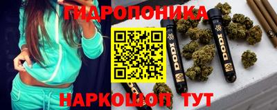 гашик Пыть-Ях