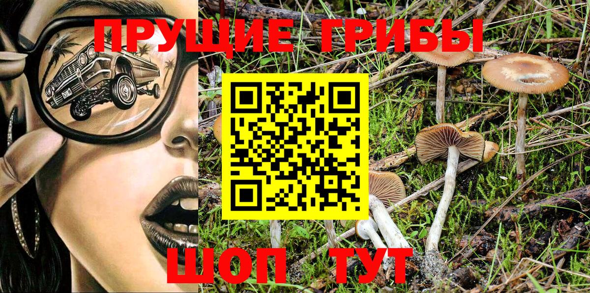 Псилоцибиновые грибы Magic Shrooms  Вход с VPN  Псилоцибиновые грибы Cubensis  Первоуральск 
